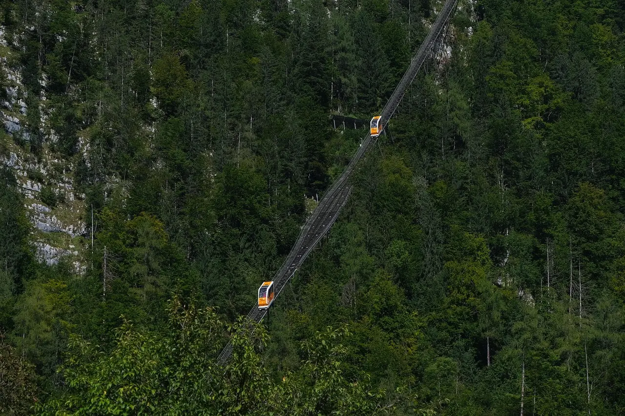 Hvor lang tid skal et køleskab stå efter transport? Få ekspertens enkle tjekliste