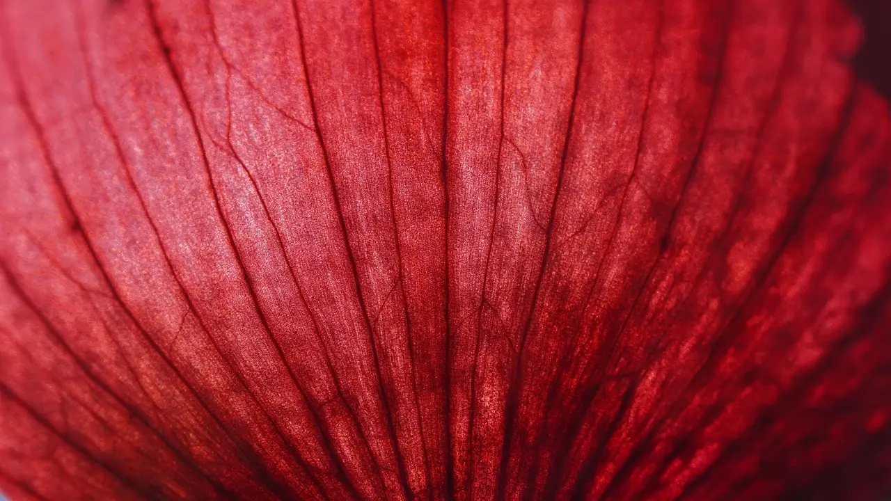 Hvordan farver man tøj? – Guide til nemme teknikker og farver, der holder