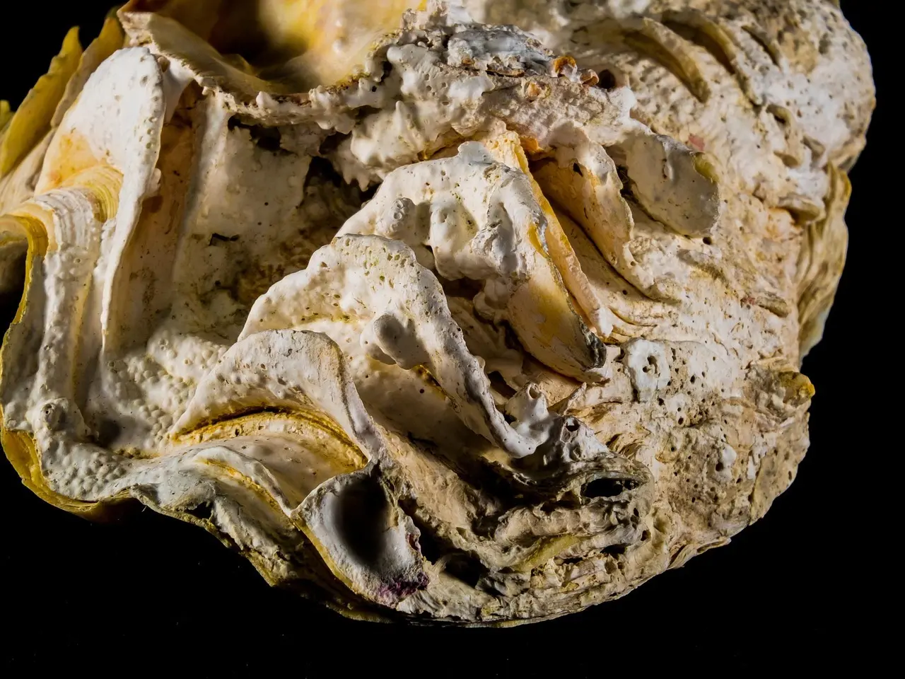 Sådan fjerner du skånsomt kalk fra brusehoved og fliser